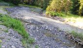 Trail Walking Morzine - boucle lac des mines d'or, chardonnerai, freterol - Photo 8