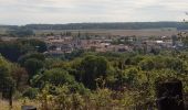 Excursión Bici de montaña Saint-Clément - sortie VTT 020918 Vitrimont - Photo 8