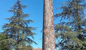 Tocht Stappen Villes-sur-Auzon - entre Auzon et le GR du massif du Ventoux - Photo 17