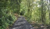 Percorso A piedi Ebersburg - Rhön-Rundweg 1 Wachholderhuette - Photo 1