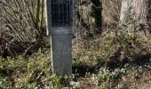 Tour Wandern Gesves - Mozet  Wierd 02/03/23 - Photo 1