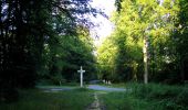 Randonnée Marche Rethondes - en forêt de Laigue_6_12_2019_Route Forestière des Princesses_Route et Chemin de Briançon - Photo 11