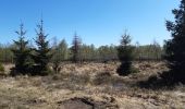 Trail Walking Spa - spa de la ville a la fagne - Photo 2