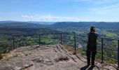 Tour Wandern Taintrux - suuntoapp-Hiking-2024-05-10T08-54-36Z - Photo 1