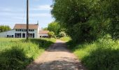 Tocht Stappen Hannuit - La balade des chevées (5km)  - Photo 2