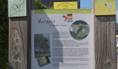 Tour Wandern Aubel - 20220620 - Aubel 7.2 Km - Photo 8