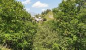 Excursión Senderismo Valloire - Valloire - Des Gorges de l'Enfer au Le Poingt Ravier - Photo 13
