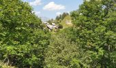 Randonnée Marche Valloire - Valloire - Des Gorges de l'Enfer au Le Poingt Ravier - Photo 13