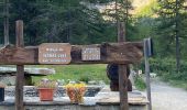 Trail Walking Valsavarenche - 4 Refuge Tétra Lyre Col du grand Collet 2832 m Refuge Savoia +979 m -437 m - Photo 8