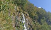 Tour Wandern Todtnau - wasserfall - Photo 6