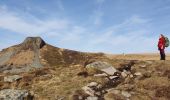 Excursión Senderismo Saulzet-le-Froid - La banne d'Ordanche - Photo 9