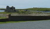 Randonnée A pied Unknown - Sumburgh Head to Grutness - Photo 5