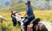 Trail Horseback riding Accous - Lhers - Puenta de Santa Ana - Photo 7