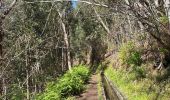 Randonnée Marche Prazeres - Levada Nova - de Prazeres a Calheta - Photo 4