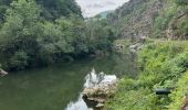 Tour Wandern Itxassou - itxassou boucle Urzumu Atharri - Photo 2