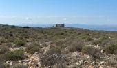 Tour Wandern Torroella de Montgrí - Castel de mont gris variante - Photo 13