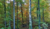 Trail Walking Saou - ASPTT Rochecolombe inversé - Photo 5