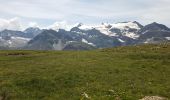 Tocht Stappen Bonneval-sur-Arc - Savoie_Pont de l'Oulietta=>Plan-des-Eaux - Photo 3