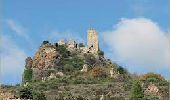 Excursión Senderismo Mérifons - Château de Malavieille - Photo 1