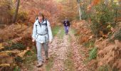 Trail Walking Lanne-Soubiran - CC_Velay_FA_24_Lanne-Soubiran_Aire-Adour_20081109 - Photo 1