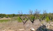 Tour Wandern Leucate - la franqui . phare de leucate .. retour via la falaise - Photo 19