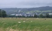Trail Walking Vielsalm - Vielsalm 270625 - Photo 3
