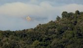 Tour Wandern Six-Fours les Plages - Cap Sicié - Notre Dame du Mai - Six fours - Photo 20