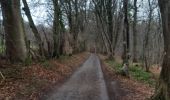 Randonnée Marche Sprimont - lincé  . flagothier . betgné . haie des pauvres  .  wachibou . lincé  - Photo 4