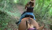 Trail Horseback riding Charency-Vezin - Charency Vezin chez Juliette pour ses 30 ans - Photo 2