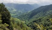 Tour Wandern Larrau - le Pic des Escalier - Photo 8