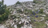 Trail Walking Saint-Agnan-en-Vercors - Drôme carrières romaines - Photo 2