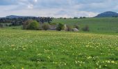 Excursión Bici eléctrica Le Puy-en-Velay - le puy en Velay est / les Estables  - Photo 5