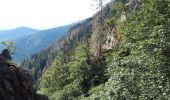 Randonnée Marche Le Valtin - Le Sentier des Roches - Photo 8