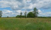 Tocht Te voet Byhleguhre-Byhlen - Wanderweg Byhleguhrer See-Byhleguhre-Bismarkturm-Burg - Photo 9