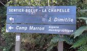 Trail Walking Entre-Deux - le Dimitile - Photo 8