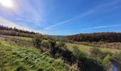 Excursión Bici eléctrica Vieux-Moulin - Vieux-Moulin- Saales- Ban de Sapt - Vieux Moulin - Photo 19