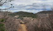 Trail Walking Rochefort-en-Valdaine - Le Colombier Rochefort en Valdaine 18km - Photo 2