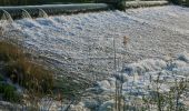 Tour Zu Fuß Eschwege - Rundweg Werratalsee - Photo 10