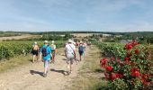 Tour Wandern Bézu-le-Guéry - Bézu-le-Guéry du 12-07-2022 - Photo 1