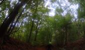 Percorso Mountainbike Fleurus - VTT sur saint -amand - Photo 10