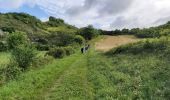 Trail Walking Mortagne-sur-Gironde - Mortagne  - Photo 9