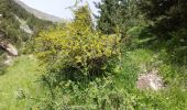 Randonnée Marche Jausiers - CASCADE DU PISSOUN ET VALLON DES TERRES PLAINES - Photo 19