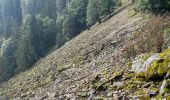 Tocht  Le Valtin - Sentier des roches frankenthal col de la schlucht - Photo 8