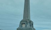 Randonnée Marche Sangatte - CANI-RANDO TOUR (boucle Cap Blanc nez) - Photo 11