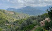 Tocht Stappen Deià - GR221 # Deià - Muleta - Puerto de Soller - Photo 9