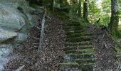 Randonnée Marche Saint-Quirin - lettenbach croix Guillaume vieux château  - Photo 6