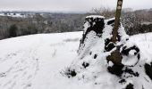 Tour Zu Fuß Wyre Forest - Habberley Valley Circular Walk - Photo 5