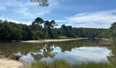 Percorso  Lège-Cap-Ferret - Réserve naturelle de piraillan - Photo 2