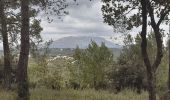 Tocht Stappen Aix-en-Provence - Montaiguet : Chante Perdrix - Photo 1