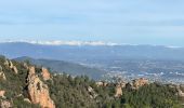 Trail Walking Saint-Raphaël - Les Suvières depuis Belle Barbe - Photo 6